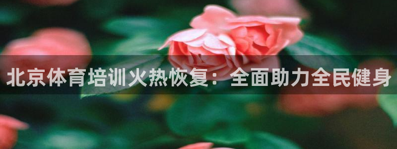 焦点娱乐全国总冠军