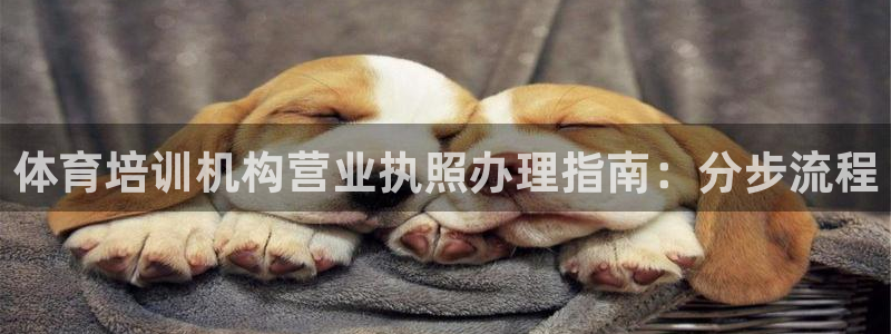 焦点娱乐app下载官网最新版苹果：体育培训机构营业执