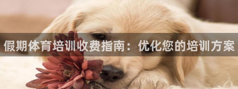 焦点娱乐平台账号在哪注册：假期体育培训收费指南：优化