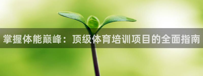 焦点娱乐皮皮虾视频：掌握体能巅峰：顶级体育培训项目的