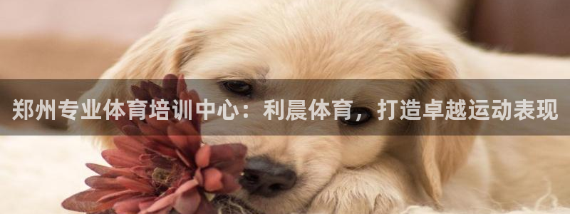 焦点娱乐软件版本下载：郑州专业体育培训中心：利晨体育