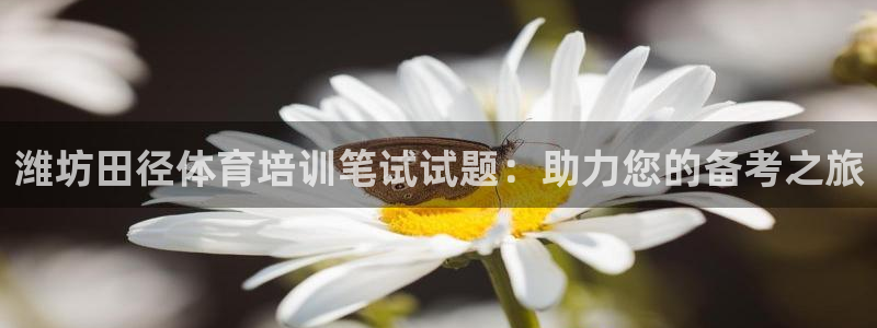 焦点娱乐待遇：潍坊田径体育培训笔试试题：助力您的备考