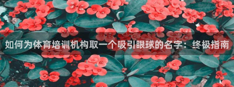 焦点娱乐平台客服电话：如何为体育培训机构取一个吸引眼
