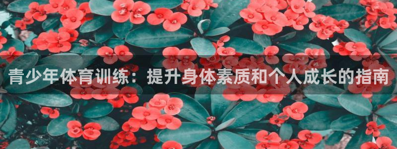 焦点娱乐平台注册账号安全吗：青少年体育训练：提升身体