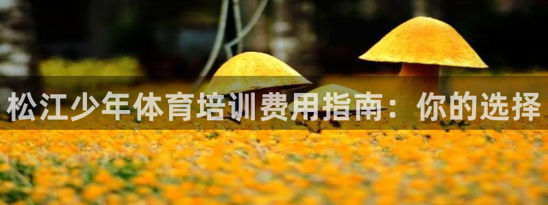 焦点娱乐官网首页入口网站：松江少年体育培训费用指南：