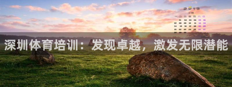焦点娱乐官方网站首页入口：深圳体育培训：发现卓越，激