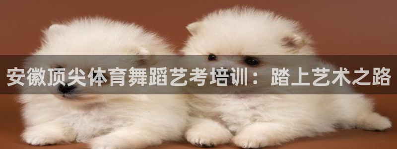 焦点娱乐传媒有限公司怎么样啊赚钱吗：安徽顶尖体育舞蹈