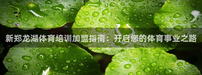 焦点娱乐官网下载安装苹果手机