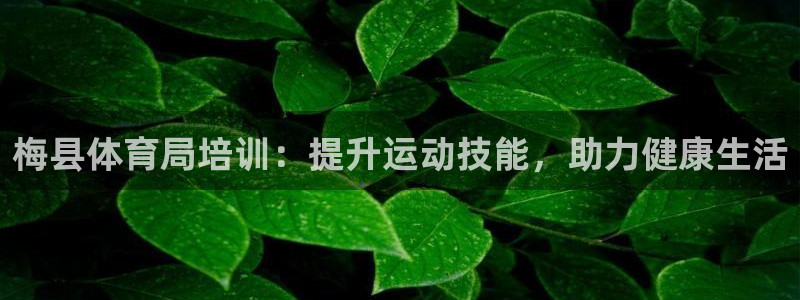 焦点娱乐网站下载地址在哪：梅县体育局培训：提升运动技