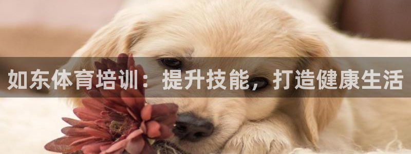 焦点娱乐黑平台曝光：如东体育培训：提升技能，打造健康