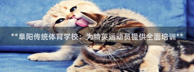 焦点娱乐平台业7O777：**阜阳传统体育学校：为精英运动员