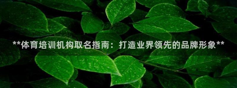 焦点娱乐官网下载安装最新版苹果：**体育培训机构取名
