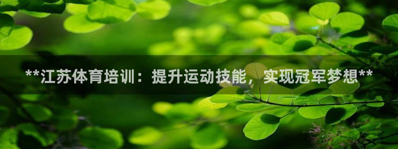 焦点娱乐软件版本：**江苏体育培训：提升运动技能，实