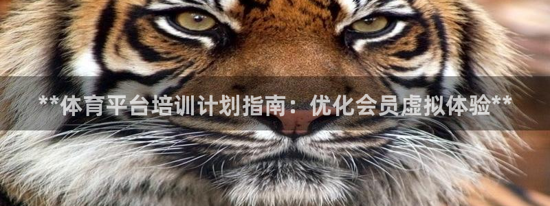 焦点娱乐黑平台曝光：**体育平台培训计划指南：优化会员虚拟体