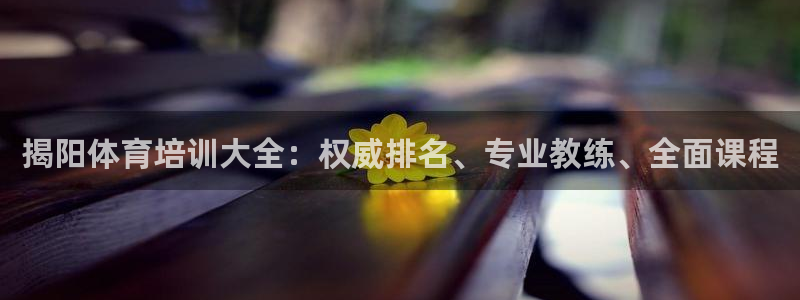 焦点娱乐平台注册账号是什么样的：揭阳体育培训大全：权