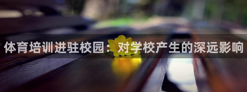 焦点娱乐是拉菲公司的吗：体育培训进驻校园：对学校产生