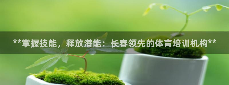 焦点娱乐有限公司官网：**掌握技能，释放潜能：长春领先的体育