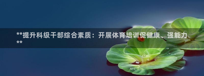 焦点娱乐游戏怎么玩教程：**提升科级干部综合素质：开