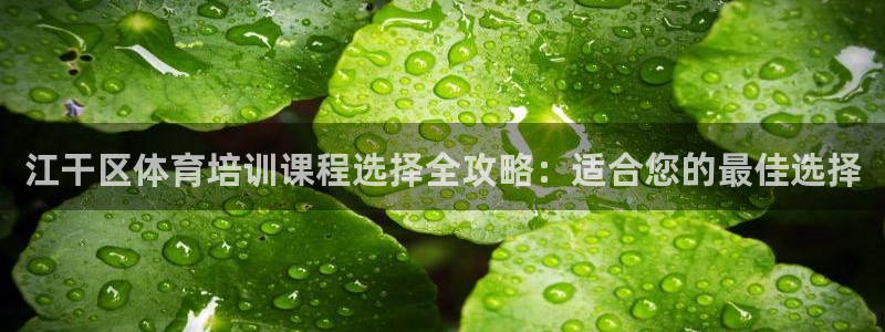 焦点娱乐怎么找：江干区体育培训课程选择全攻略：适合您