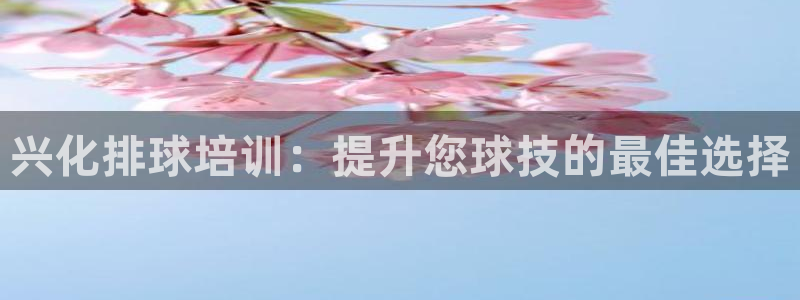 焦点娱乐佳 411O31 焦点：兴化排球培训：提升您