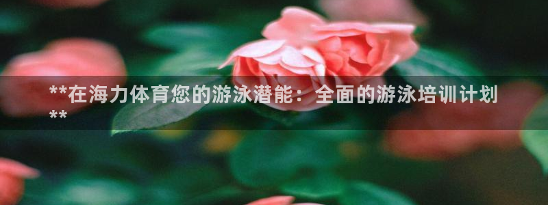 焦点娱乐公司的发展历程简述：**在海力体育您的游泳潜