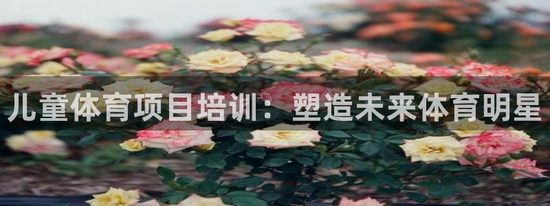 焦点娱乐不出款怎么回事：儿童体育项目培训：塑造未来体