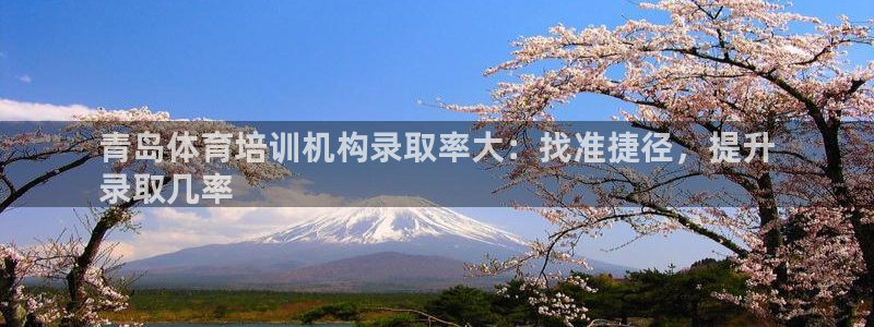 焦点娱乐软件版本下载：青岛体育培训机构录取率大：找准