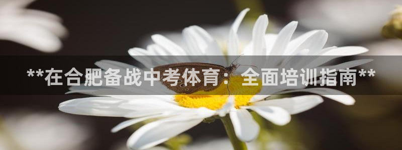 焦点娱乐什么意思：**在合肥备战中考体育：全面培训指
