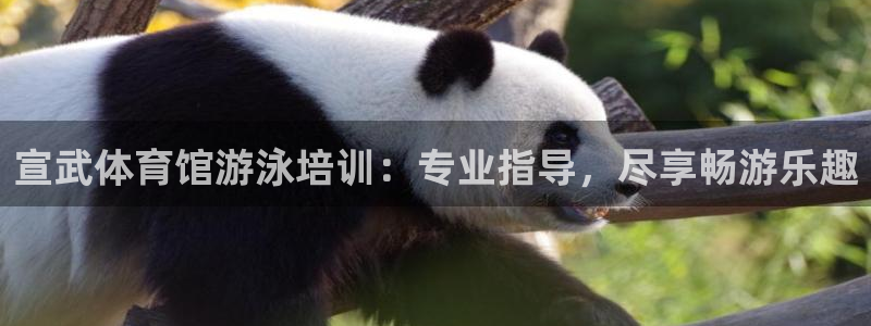 焦点娱乐官方网站入口：宣武体育馆游泳培训：专业指导，