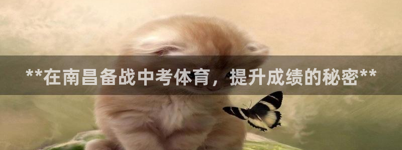 焦点娱乐游戏：**在南昌备战中考体育，提升成绩的秘密
