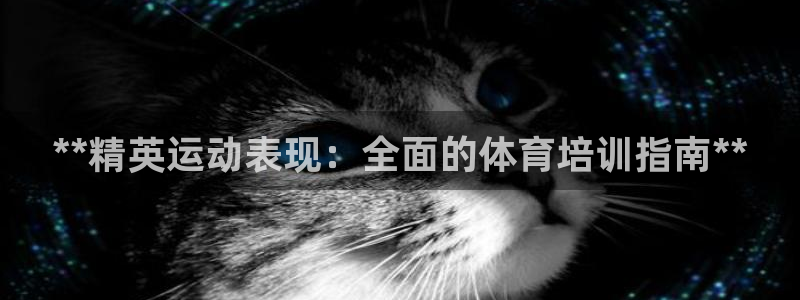 焦点娱乐传媒有限公司：**精英运动表现：全面的体育培