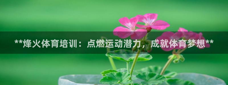 焦点娱乐app下载安装方式：**烽火体育培训：点燃运