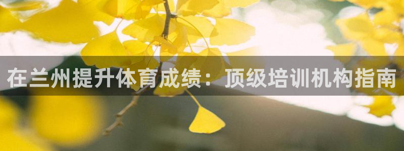 焦点娱乐公司官网：在兰州提升体育成绩：顶级培训机构指