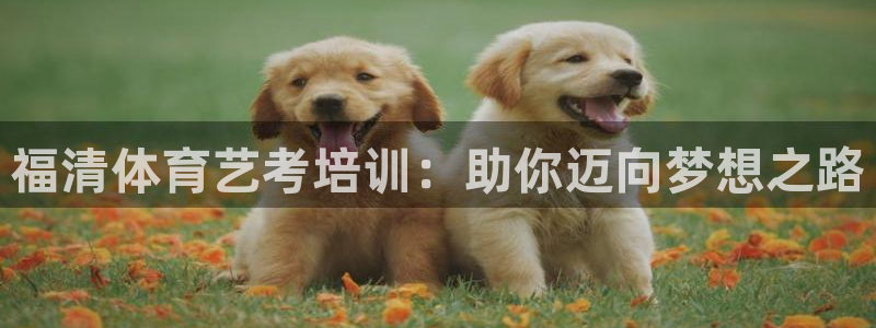 焦点娱乐门徒娱乐骗局：福清体育艺考培训：助你迈向梦想