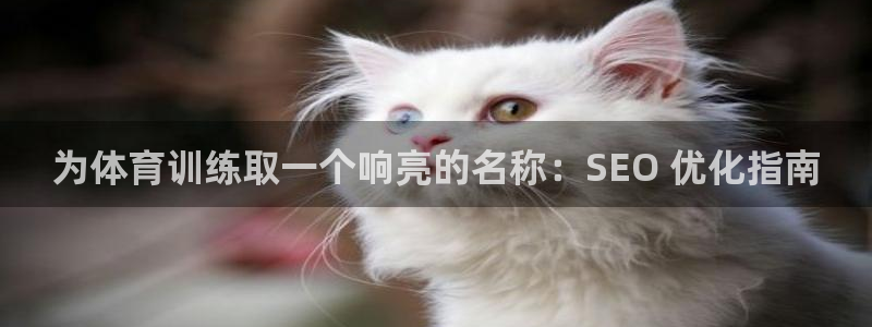 焦点娱乐下载手机版安装：为体育训练取一个响亮的名称：