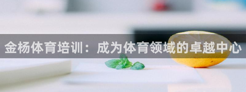 焦点娱乐是哪个公司的产品：金杨体育培训：成为体育领域