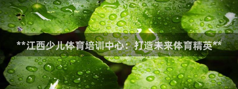 焦点娱乐平台章7O777：**江西少儿体育培训中心：
