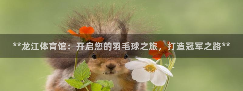 焦点娱乐股东有哪些：**龙江体育馆：开启您的羽毛球之