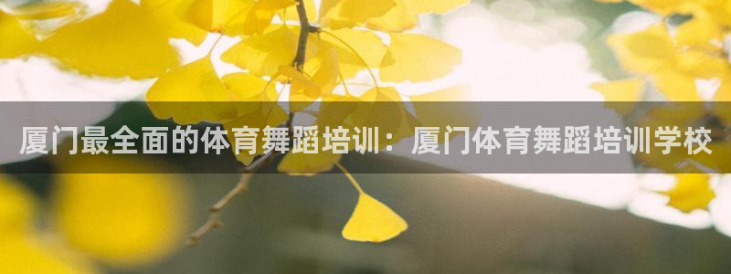 焦点娱乐平台登录不了怎么回事：厦门最全面的体育舞蹈培