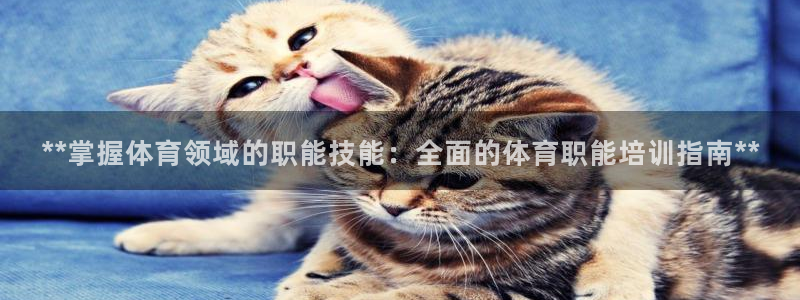 焦点娱乐vs皇族不败神话下载：**掌握体育领域的职能技能：全