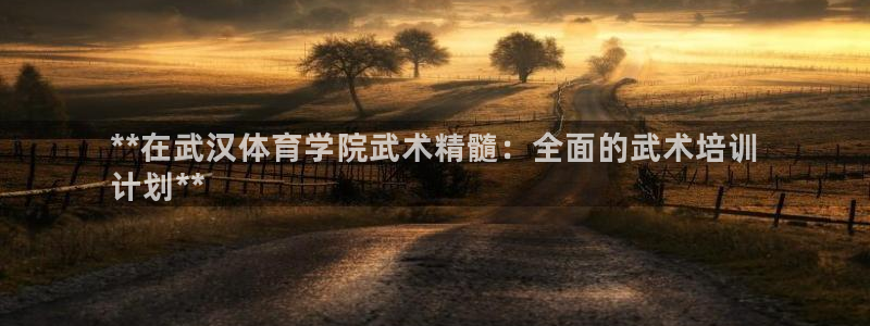 焦点娱乐拉菲10：**在武汉体育学院武术精髓：全面的