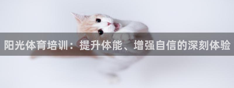 焦点娱乐黑平台曝光：阳光体育培训：提升体能、增强自信的深刻体
