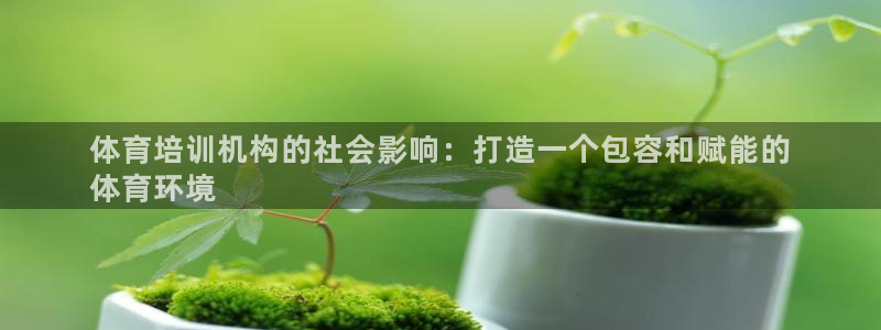 焦点娱乐平台是正规的吗：体育培训机构的社会影响：打造