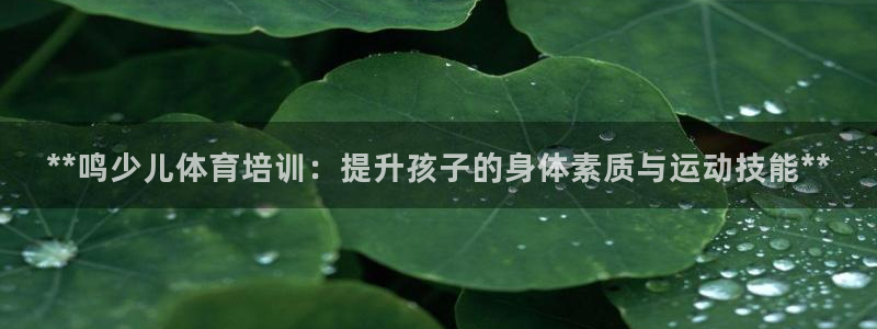 焦点娱乐什么意思：**鸣少儿体育培训：提升孩子的身体