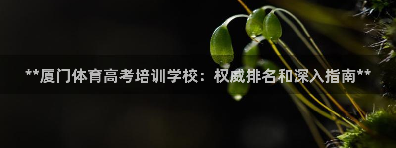 焦点娱乐是哪个公司的品牌：**厦门体育高考培训学校：
