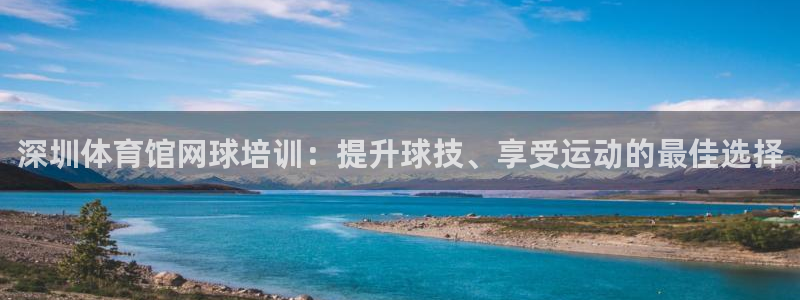 焦点娱乐官网下载安装苹果版：深圳体育馆网球培训：提升