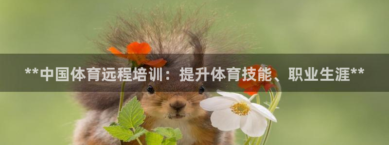 焦点娱乐平台是正规的吗：**中国体育远程培训：提升体