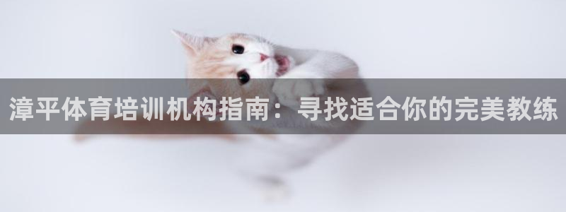 焦点娱乐拉菲10：漳平体育培训机构指南：寻找适合你的