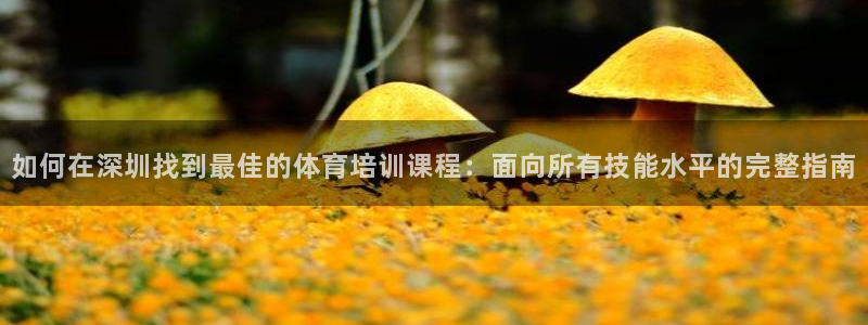焦点娱乐官方网站首页入口下载：如何在深圳找到最佳的体