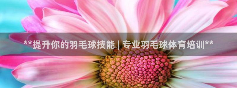 焦点娱乐平台底7O777：**提升你的羽毛球技能 |